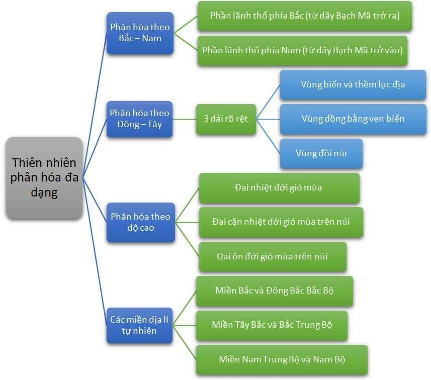 Ứng dụng sơ đồ tư duy Địa lý 12 trong ôn thi THPT Quốc gia