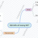 Sơ đồ tư duy đột biến số lượng nhiễm sắc thể: Thể dị bội