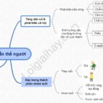 Sơ đồ tư duy quần thể người