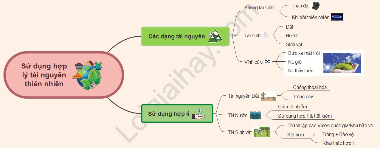 Sơ đồ tư duy sử dụng hợp lý tài nguyên thiên nhiên sinh học