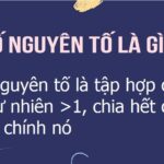 Định nghĩa về số nguyên tố