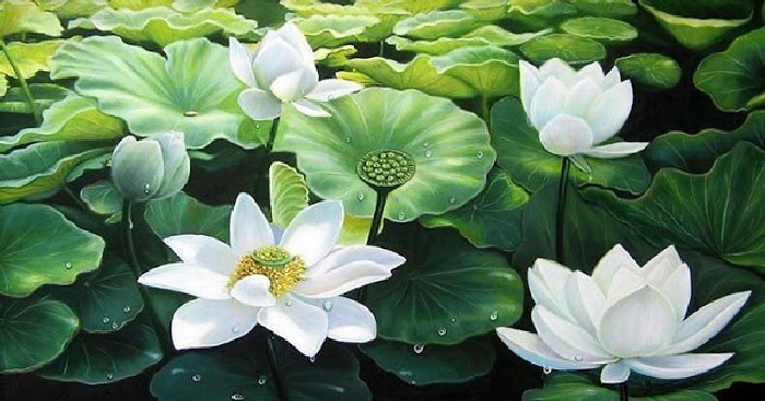 Hình ảnh minh họa cho lối sống ngay thẳng, trung thực