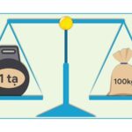 Tạ trong hệ thống đo lường Việt Nam