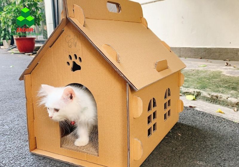 tái chế thùng carton làm nhà cho thú cưng