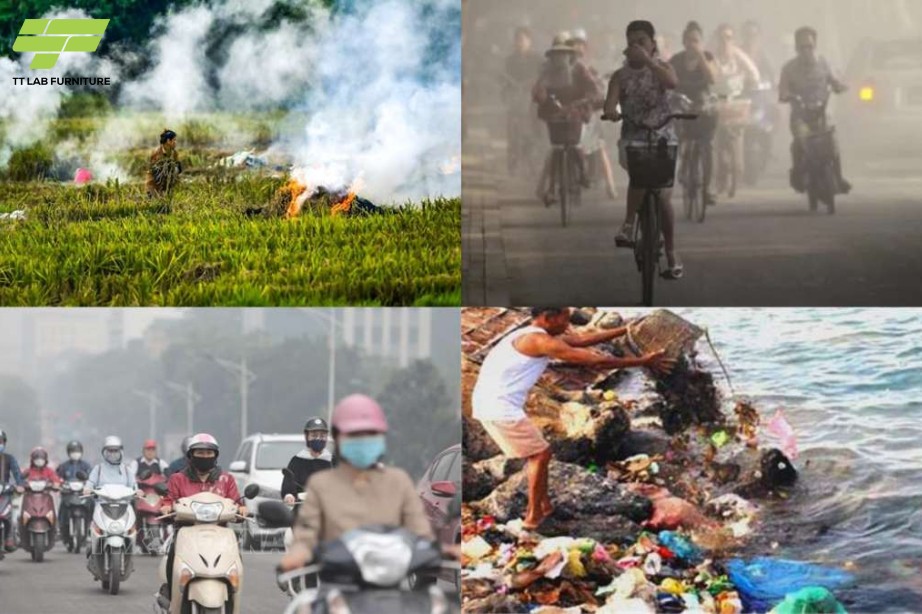 Rừng cây xanh tươi, minh họa vai trò của thực vật trong việc cung cấp oxy và hấp thụ carbon dioxide