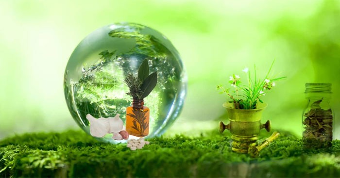 Viết đoạn văn về thiên nhiên