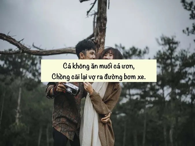 thơ chế 4 chữ tình bạn thân thiết