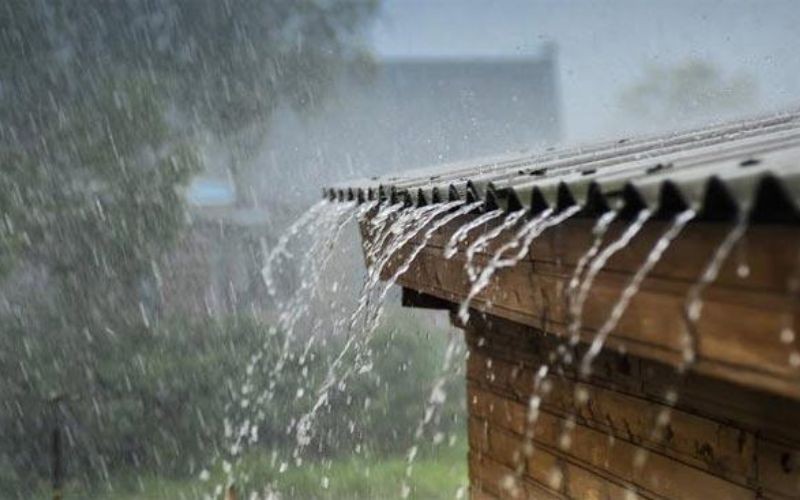 Những bài thơ về thiên nhiên Việt Nam luôn sống mãi trong lòng người