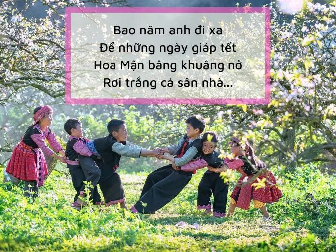 Hình ảnh hoa mận trắng tinh khôi nở rộ trên cành cây khẳng khiu, giữa không gian núi rừng hùng vĩ, tạo nên một vẻ đẹp vừa thơ mộng vừa tràn đầy sức sống.
