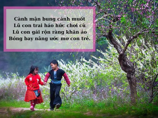 Cây mận già trơ trụi lá, chỉ còn lại những bông hoa trắng muốt, tạo nên một khung cảnh tĩnh lặng và đầy suy tư.