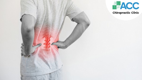 Các loại thoái hóa phổ biến: khớp, cột sống, điểm vàng, não