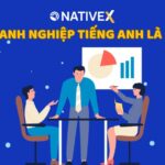 Các loại model phổ biến trong tiếng Anh