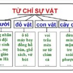 Ảnh minh họa các từ chỉ sự vật quen thuộc trong cuộc sống hàng ngày như học sinh, bàn ghế, sách vở, cây cối, chó mèo
