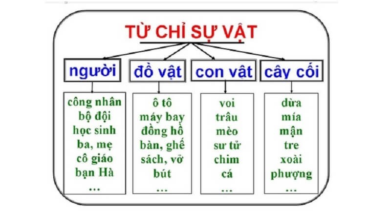 Ảnh minh họa các từ chỉ sự vật quen thuộc trong cuộc sống hàng ngày như học sinh, bàn ghế, sách vở, cây cối, chó mèo