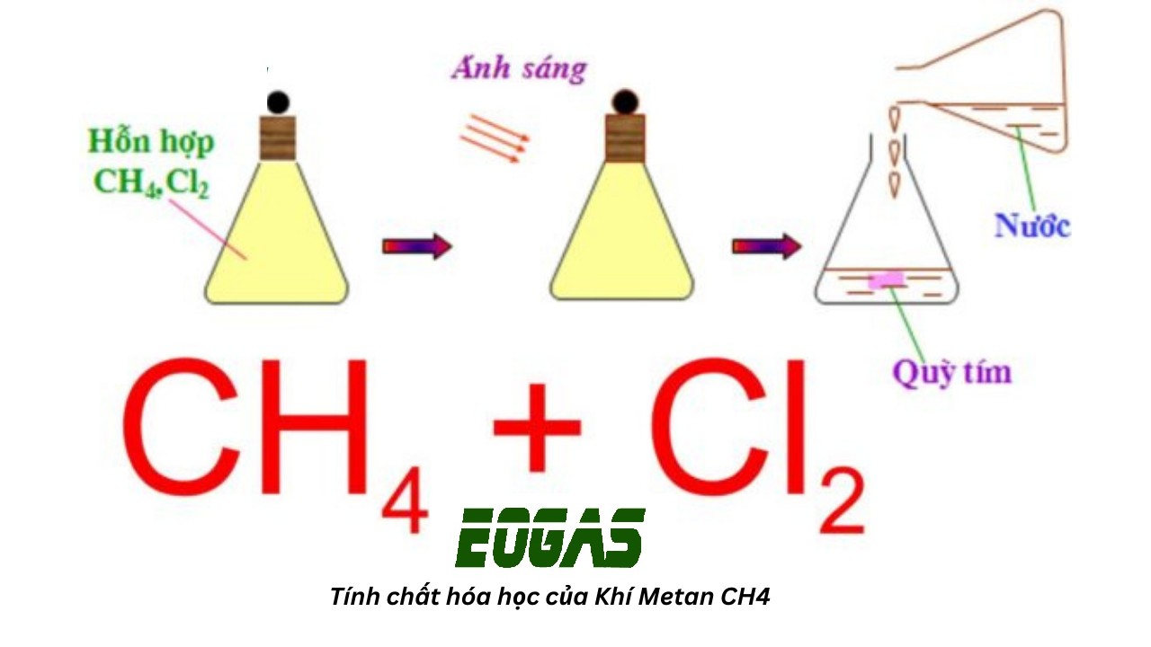 Phản ứng halogen hóa metan