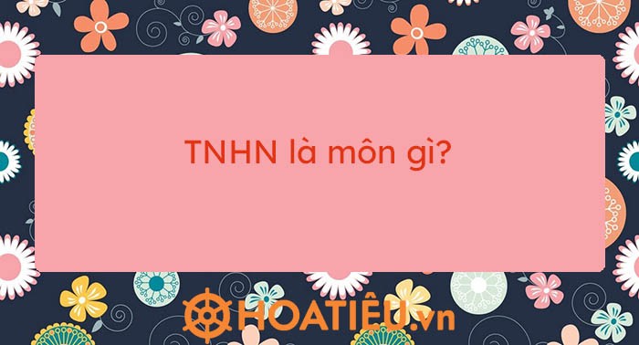 Hình ảnh học sinh tham gia hoạt động trải nghiệm hướng nghiệp với alt là: Học sinh THPT tham gia hoạt động trải nghiệm hướng nghiệp tại một doanh nghiệp sản xuất, tìm hiểu về các công việc thực tế và kỹ năng cần thiết.