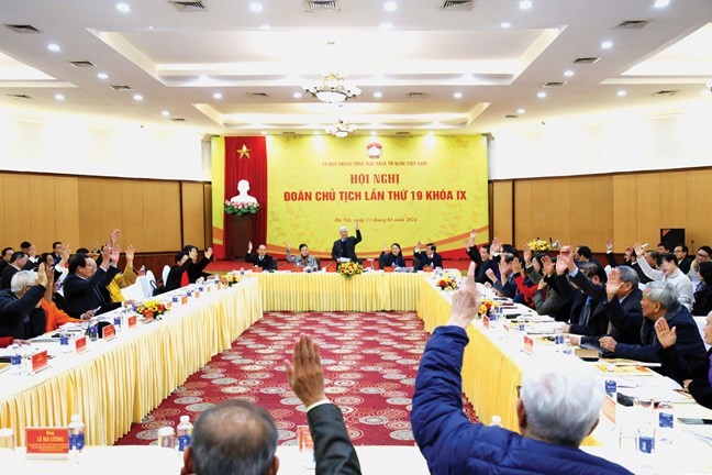 Phong lan sống bám trên thân cây gỗ lớn, thể hiện mối quan hệ hội sinh