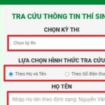 Nhập thông tin tra cứu điểm thi Timo