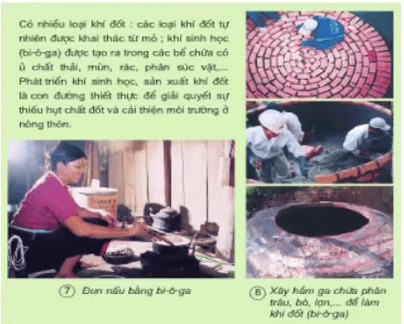 Mỏ dầu Bạch Hổ, một trong những khu vực khai thác dầu mỏ lớn nhất của Việt Nam, cung cấp nguồn tài nguyên quan trọng cho đất nước.