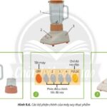 Máy xay sinh tố đa năng giúp chế biến thực phẩm nhanh chóng và dễ dàng