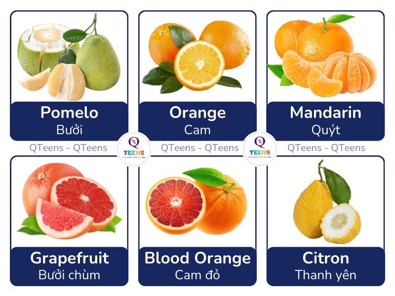 Các loại trái cây có múi phổ biến