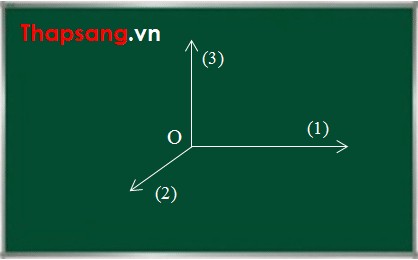 Ứng dụng của trục tung trong biểu diễn đồ thị hàm số