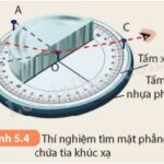 Hình ảnh minh họa hiện tượng khúc xạ ánh sáng trong nước, khiến vật thể dưới nước có vẻ gần hơn so với thực tế