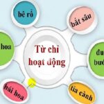 Từ ngữ chỉ hoạt động