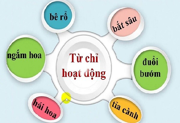 Từ ngữ chỉ hoạt động