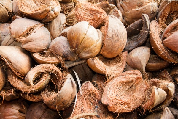 viên nén xơ dừa ứng dụng rộng rãi trong nông nghiệp