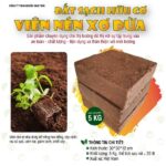 viên nén xơ dừa là giải pháp hữu hiệu để ươm mầm cây trồng