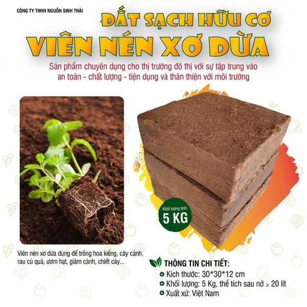 viên nén xơ dừa là giải pháp hữu hiệu để ươm mầm cây trồng