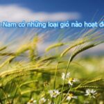 Ảnh minh họa các loại gió ở Việt Nam