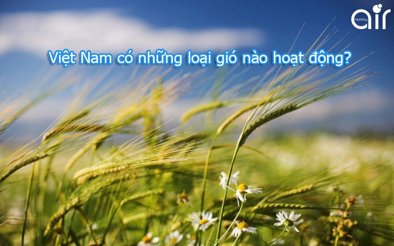 Ảnh minh họa các loại gió ở Việt Nam