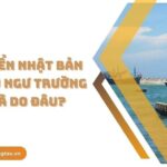 Vùng biển Nhật Bản có nhiều ngư trường lớn