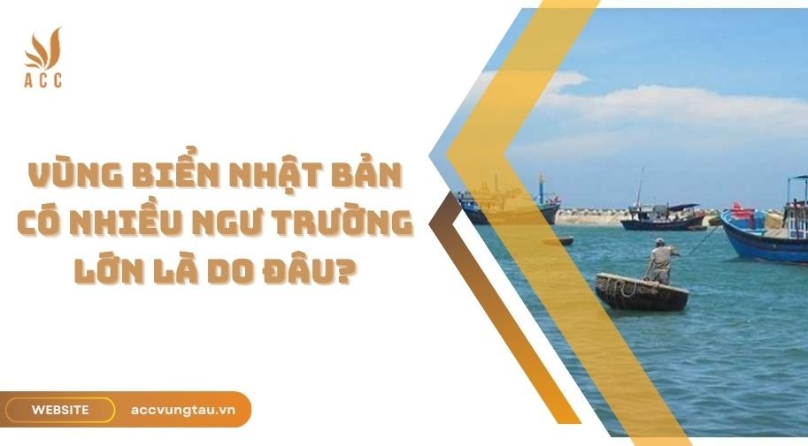 Vùng biển Nhật Bản có nhiều ngư trường lớn