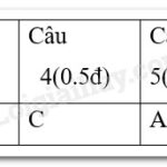 Một nhóm học sinh đang thảo luận về nội dung một cuốn sách trong câu lạc bộ đọc sách của trường.
