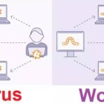 Worm máy tính hoạt động như thế nào