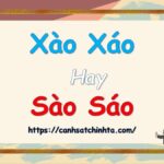 Căn phòng xào xáo
