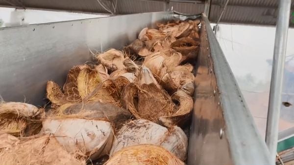 công đoạn ép viên xơ dừa