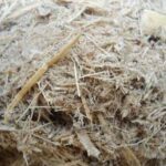 Quy trình sản xuất cellulose từ gỗ
