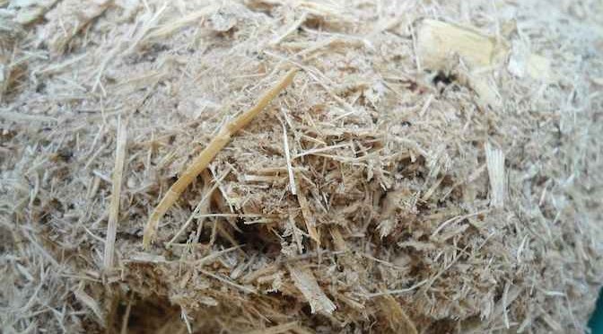 Quy trình sản xuất cellulose từ gỗ