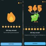 Bảng giải đấu cấp độ xếp hạng Duolingo lửa rừng