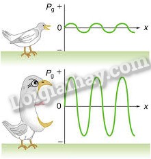 Đo độ ồn của động cơ xe tải