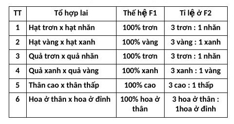 Bảng tổng hợp kết quả thí nghiệm của Mendel
