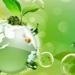 Môi trường tự nhiên là gì, bao gồm những yếu tố nào?