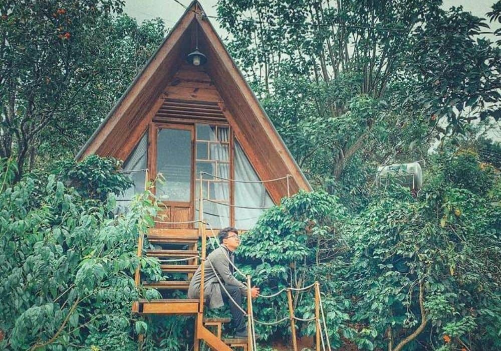 Homestay ẩn mình trong rừng cây cho những bạn yêu thiên nhiên (ảnh: Sưu tầm Internet)