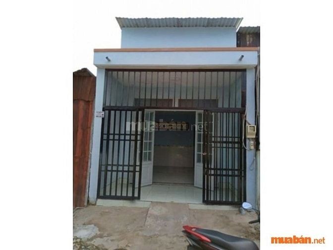 Môi trường sống xung quanh ngôi nhà