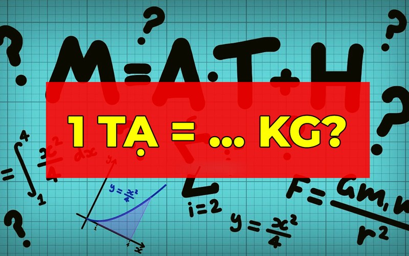1/5 tạ bằng bao nhiêu kg trong thực tế