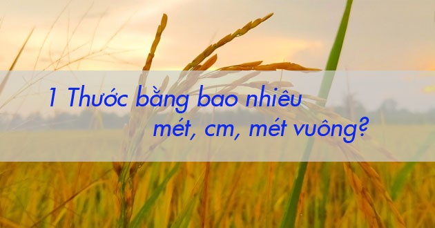 Thước đo cổ
